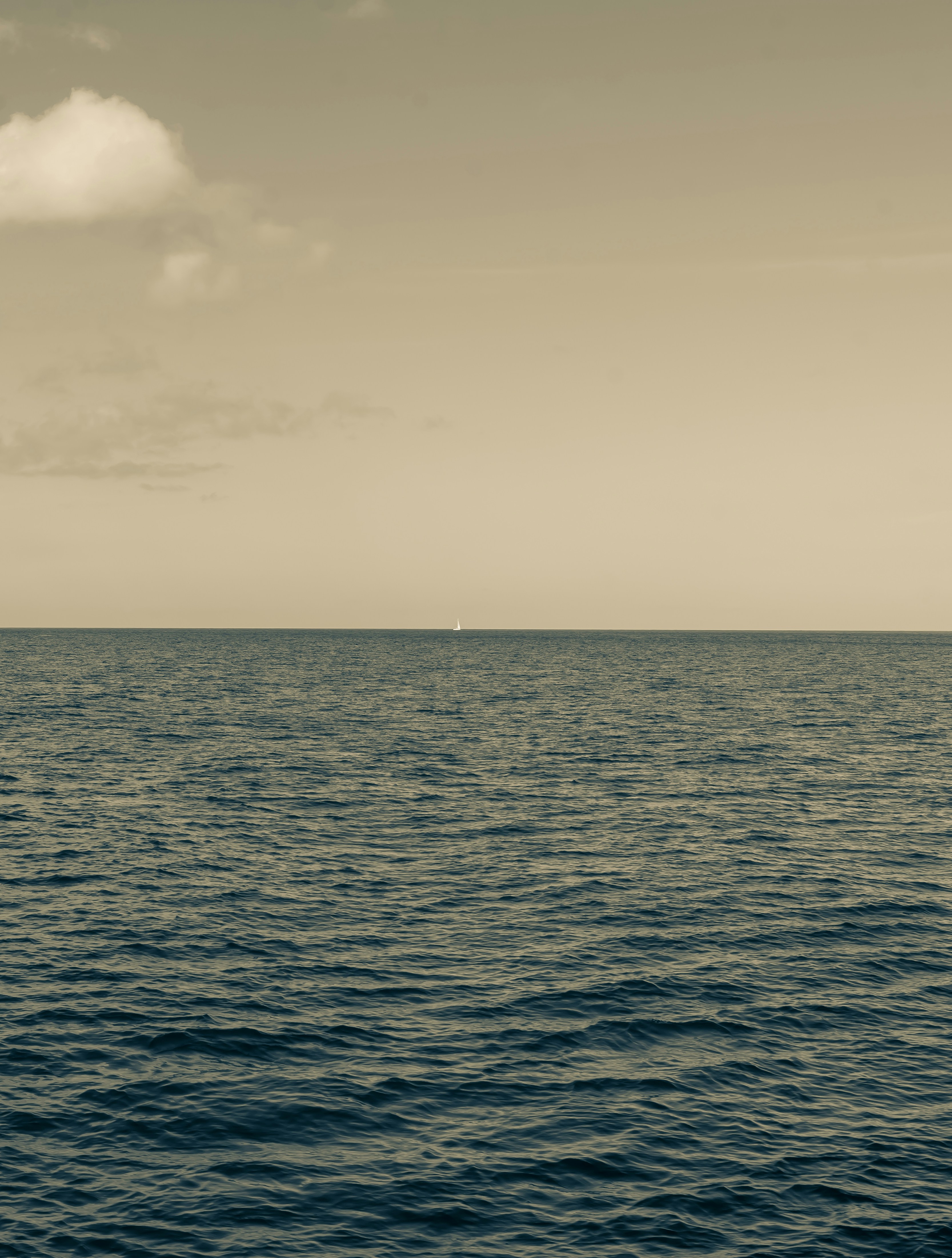 Photo by Hugh whyte on Unsplash