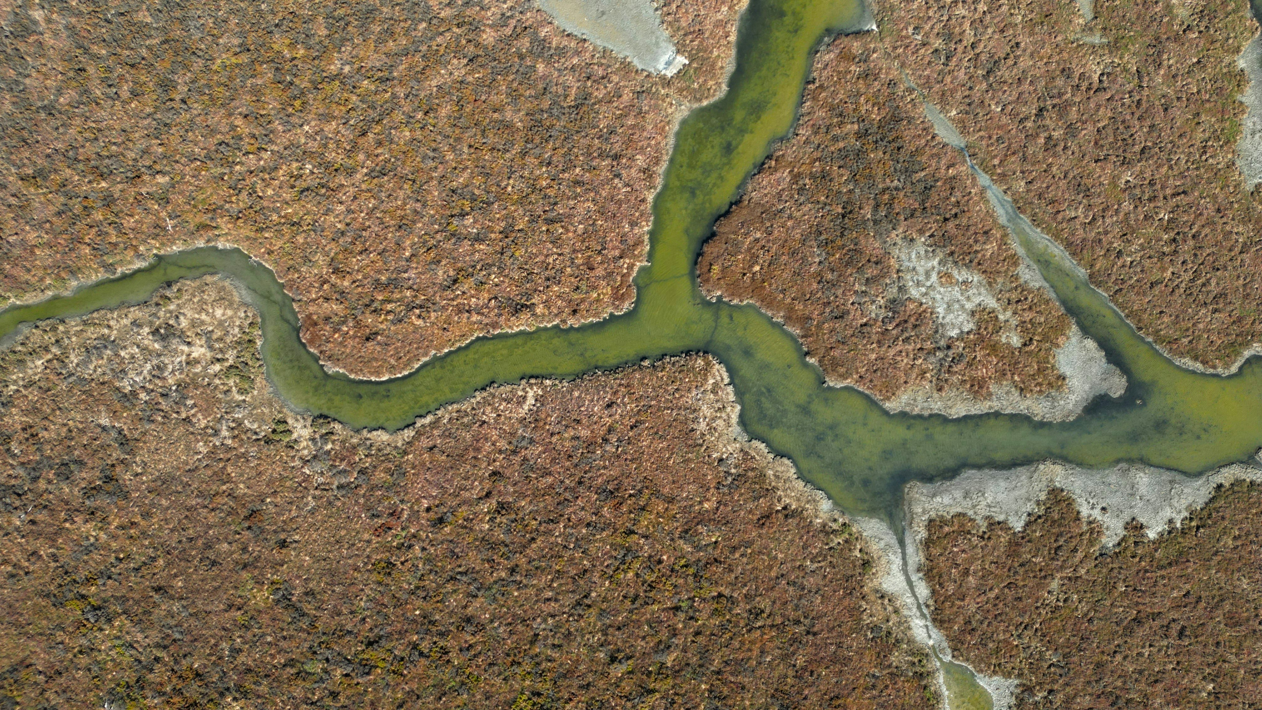 Photo by Ian @photoken123 on Unsplash