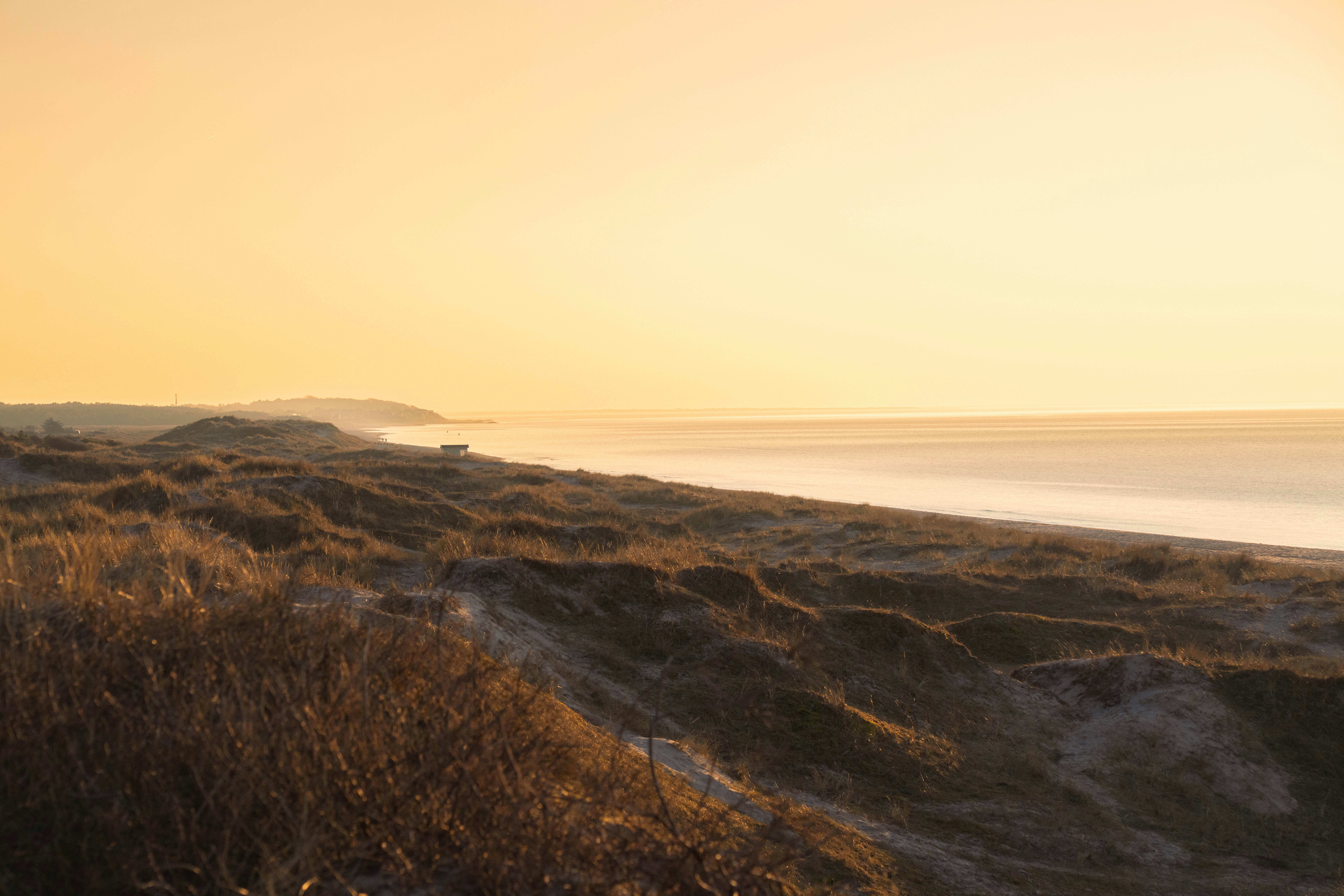 Showcase hero visual